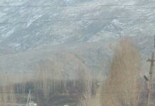 “Озоди” радиосу чек арадагы атышуудан бир тажикстандык тургун көз жумганын жазды