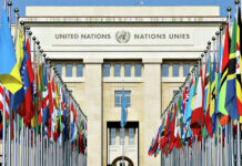 Хельсинки Комитети: Кыргыз өкмөтү Болот Темировдун ишин тыкыр иликтеши керек