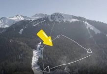 В Караколе хотят вырубить хвойный лес ради строительства коттеджей. ВИДЕО