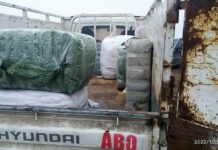 Жалпы суммасы 300 000 сомду түзгөн жүк кармалды, – Чек ара кызматы