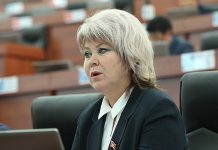 Ирина Карамушкина будет участвовать в повторных выборах