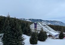 «Альфа Дом Строй» ٌ: Токойдун бир аз гана бөлүгү кыйылат