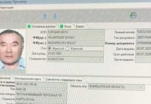 Брат Нурсултана Назарбаева из Бишкека улетел в Дубай, — СМИ
