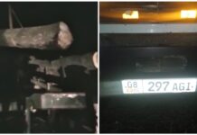 В Бишкеке ночью незаконно вырубили тополя. Нарушителей забрали в милицию