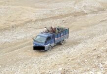 Чек арадан жылкы өткөрүүгө аракет кылышкан