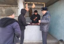 Лейлекте өткөн “Селсаяк” иш-чарасында окуучулар тарабынан укук бузган фактылар аныкталган жок