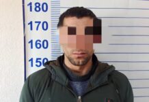 Кара-Буурада фасоль уурдоого шектелген жаран кармалды