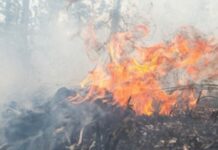 Боомдо эки гектар аянт кургак чөп күйүп кетти