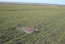 В Москве задержали подозреваемого в убийстве сотрудницы ГРС в Оше 11 лет назад