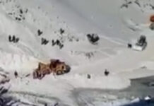 Момент гибели под лавиной двух сотрудников «Вертекс голд компани» попал на видео