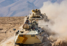 Более 70 единиц военной техники поступит в этом году на базы РФ в Кыргызстане и Таджикистане