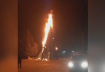 В двух городах Кыргызстана сгорели новогодние елки