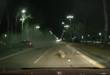 Момент жуткой аварии в Бишкеке попал на видео. Водитель сбежал