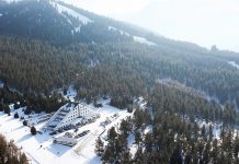 Директор природного парка в Караколе прокомментировал информацию о вырубке леса