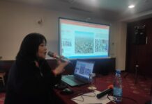 Айгүл Насирдинова: Бишкек инфраструктурасынын 90 пайызы оор абалда