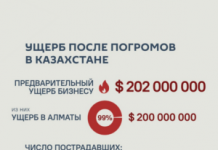 Казакстан: учурдагы келтирилген зыян 202 миллион долларды түзөт
