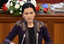 Аида Салянова депутаттыкка талапкерлигин көрсөттү