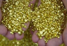 На СЭЗ «Бишкек» велась незаконная деятельность по извлечению золота, — ГП КР