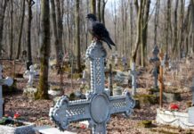 В Новопавловке дорогу хотят строить прямо на кладбище