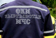 Унаа аял кишинин бутун басып калды