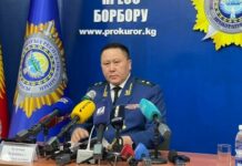 Зулушев “Кактус Медианын” макаласына козголгон иш боюнча комментарий берди