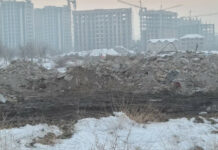 Гостиницу «Иссык-Куль» снесли. В мэрии рассказали, куда пересадят деревья оттуда