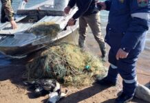 В браконьерских сетях на Иссык-Куле обнаружили 10 мертвых диких уток