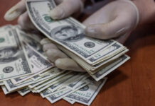 Сестра генпрокурора вложила в финансовую пирамиду $30 тыс. В деле замешана дочь замглавы ВС