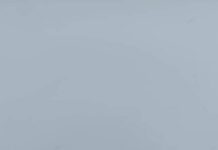 Жалал-Абадда үч жаран дайынсыз болууда