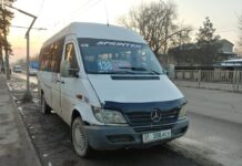 Жөө өтмөктөн 11 жаштагы кызды сүзгөн маршрутканын айдоочусу кармалды