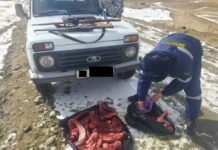 На Иссык-Куле задержаны подозреваемые в незаконной охоте на горного козла