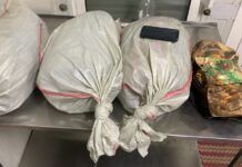 На кыргызско-казахской границе задержали двух мужчин с 12 кг наркотиков