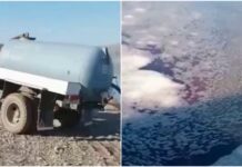 В Таласе в водохранилище сбрасывали кровь и останки скота. ВИДЕО