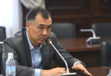 Саясатчы Равшан Жээнбековдун карындашы, мурдагы судья суракка чакырылды