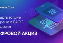 В Кыргызстане впервые в ЕАЭС внедряют цифровой акциз