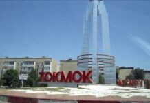 “Унаа” мамлекеттик мекемеси: жасалма документтерди пайдаланып жүргөн жаран кармалды