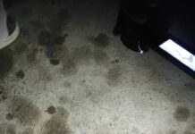 Балыкчыда эки жаранга бычак менен кол салгандар кармалды