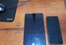 Токмок шаарында уурулукка шектүү жаран кармалды