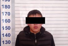 Нарында 6 уурулук фактысына шектүү жарандар изи сууй электе кармалды