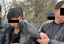 УКМК: Эл аралык баңгизатын жүгүртүүгө тиешеси бар Өзбекстандын жараны кармалды