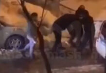 В Подмосковье пьяные мигранты побили полицейских