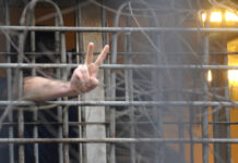 Заключенные «развели» главу Минтранса на 20 тыс. и пневматический пистолет, — СМИ