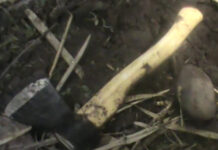 Пропавшего без вести бишкекчанина нашли убитым в Сокулуке