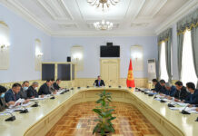 Чек арадагы 62 жеңилдетилген чек ара конуштарынын тизмеси бекитилет