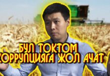 Тилек Токтогазиев: 309-токтом чоң тополоңго алып келиши мүмкүн
