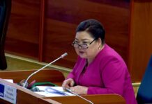 Чет өлкөдөн каржыланган бир нече бейөкмөт уюмдар бийликти аңдып жүрөт, – Нарматова