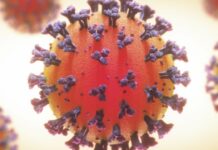 Кооптуу илдеттен төрт бейтап каза болду