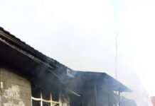 Тилсиз жоо каптаган “Париж” пансионатынын ээси Алымкадыр Бейшеналиевдин уулу