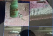 УКМК Өзбекстандын чекисттери менен бирге коңшу өлкөнүн аймагынан баңгизат ташыган төрт кишини кармады