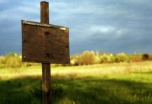 Чиновники в Кара-Суу незаконно отдали в частные руки участок за 24 млн сомов